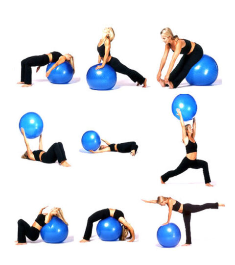 GOFIT_GYM_SWISS_BALL