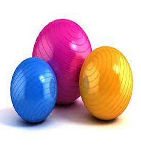 gofit_gym_swiss_ball