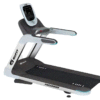 GOFIT-TREADMILL-PRECARIAN